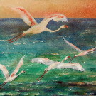Thumb Vier Flamingos im Sonnenuntergang oder nicht